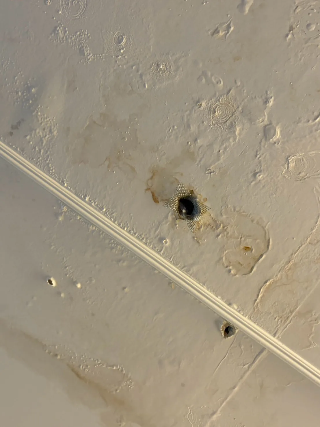 大樓住家天花板板材上的孔洞與黃褐色污漬，老鼠在夾層活動的跡象