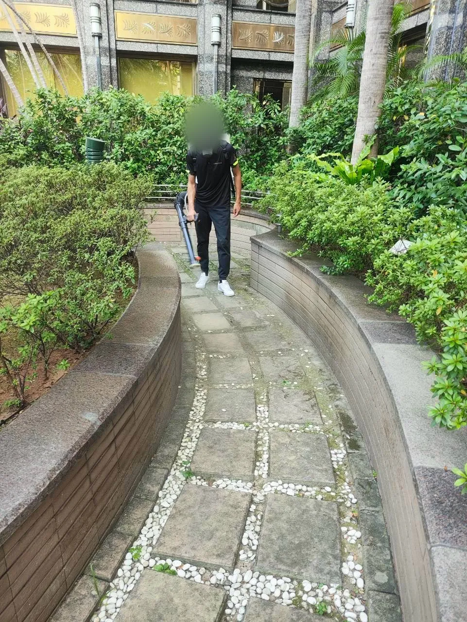 技師背動力噴霧機，沿社區中庭花圃步道施作（臉部已模糊）