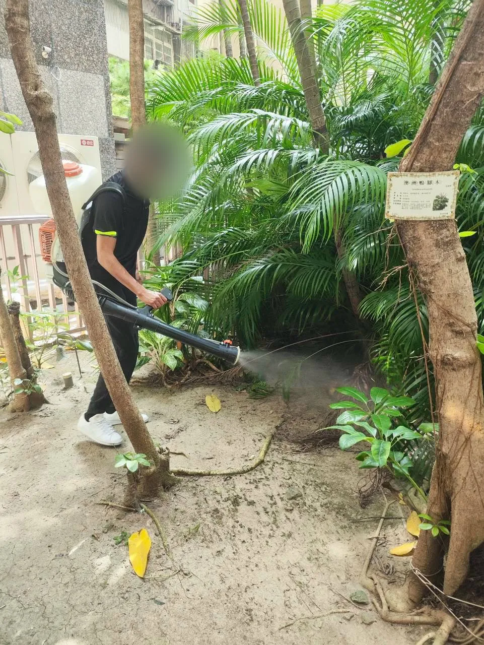 技師處理側庭樹木與灌木下方的地面（臉部已模糊）