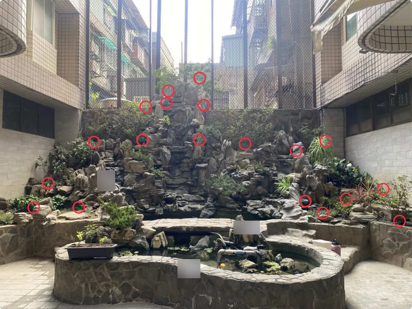 社區中庭疊石造景全景，紅圈標出 19 處鼠洞位置