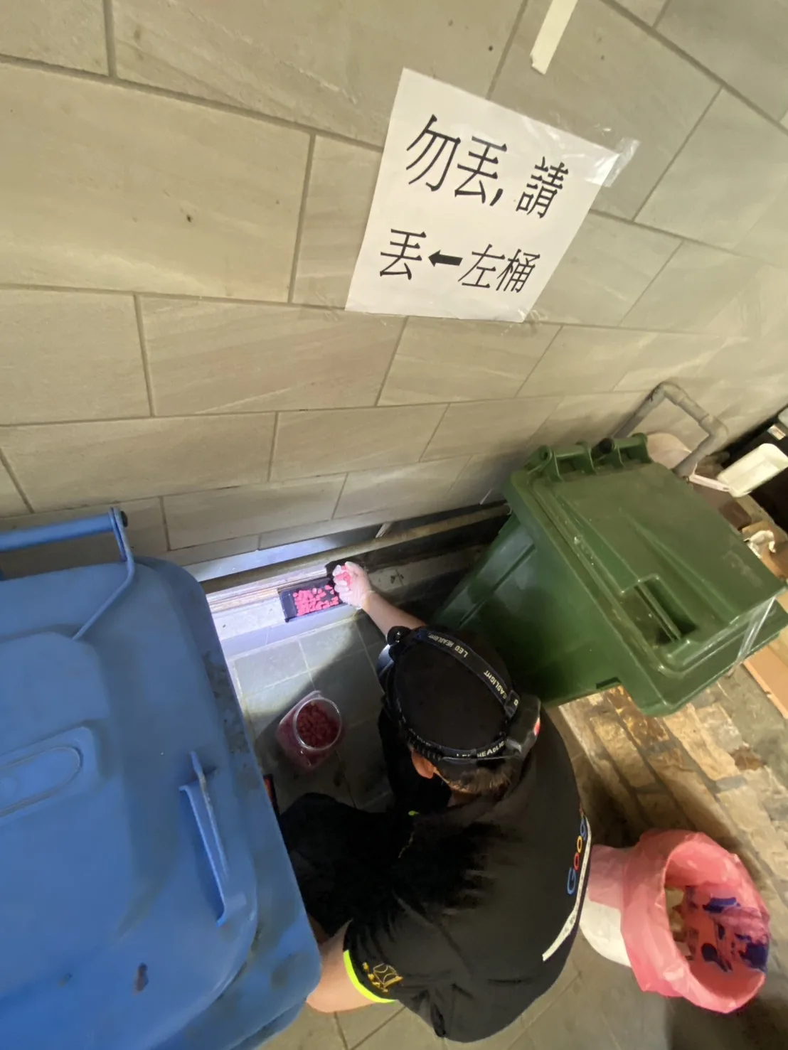 社區垃圾桶旁設置的鼠餌站