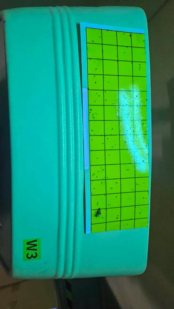 食品工廠 W3 捕蟲燈黏蟲紙