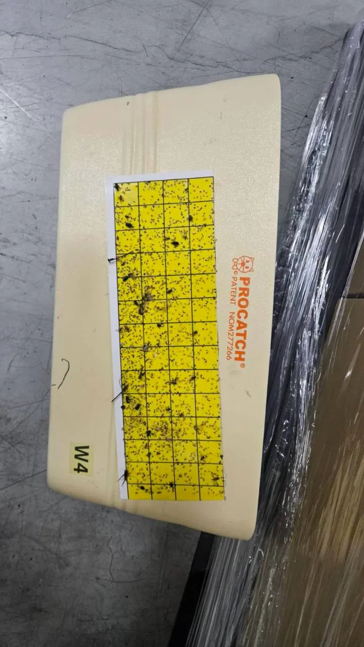 食品工廠 W4 捕蟲燈黏蟲紙