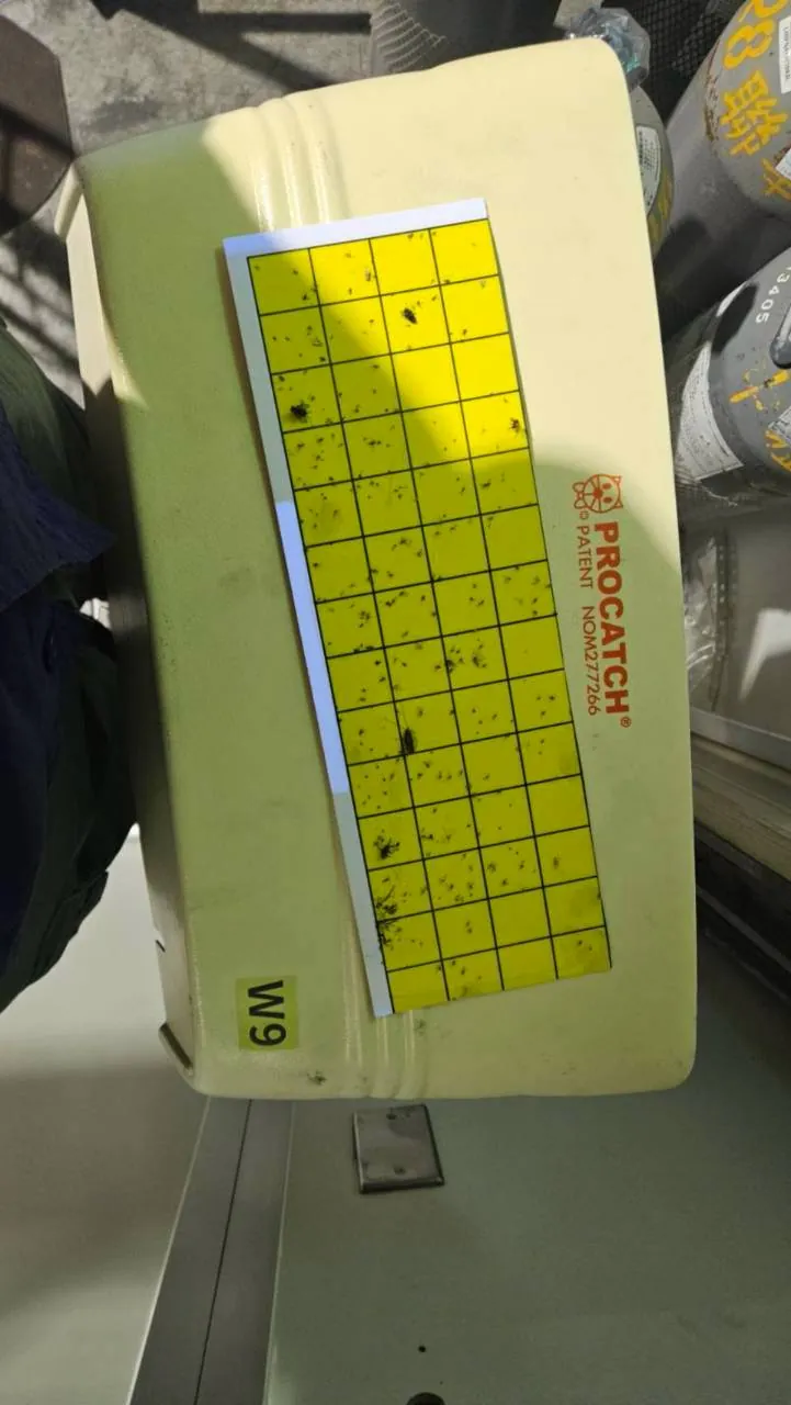 食品工廠 W9 捕蟲燈黏蟲紙