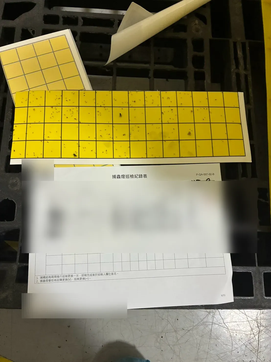 W6 捕蟲燈 9 月巡檢紀錄表與黏蟲紙