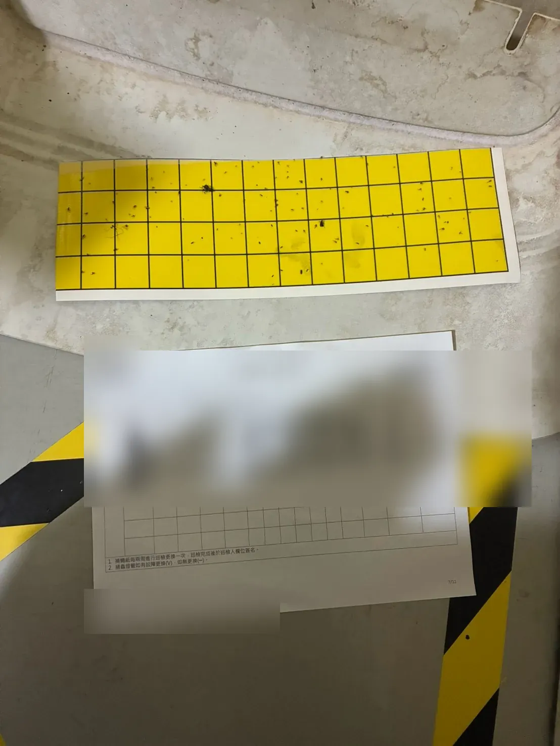 W7 捕蟲燈 9 月巡檢紀錄表與黏蟲紙