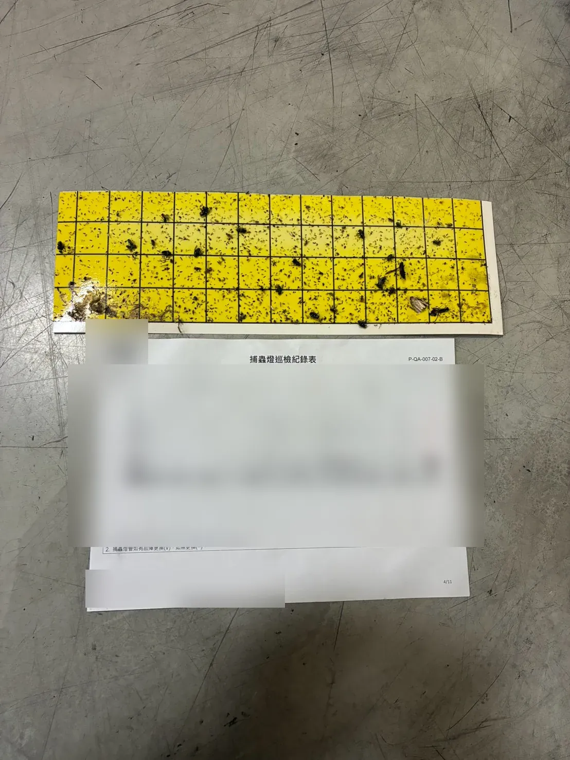 食品工廠捕蟲燈、鼠餌站巡檢紀錄