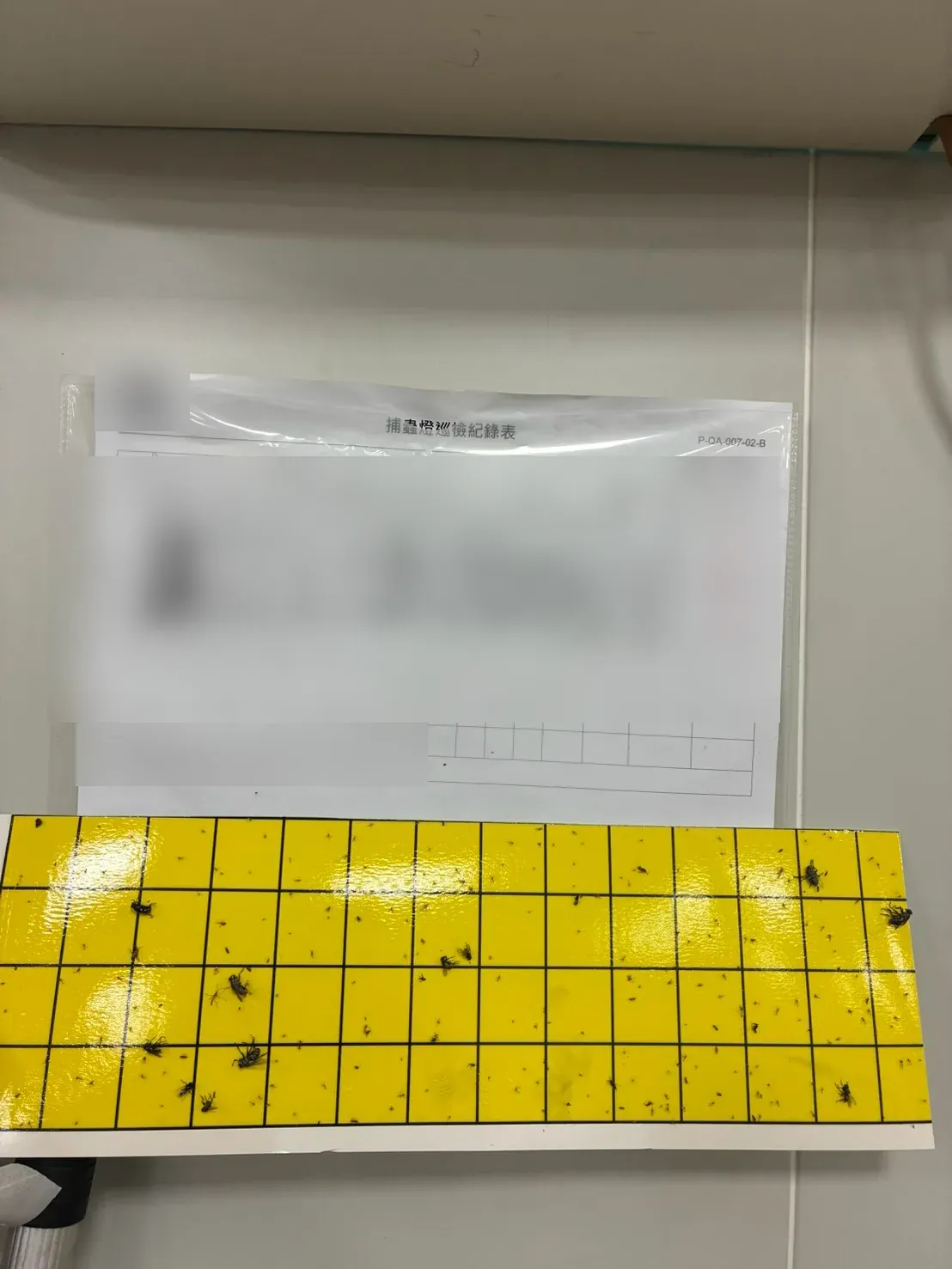 捕蟲燈巡檢紀錄表與黏蟲紙