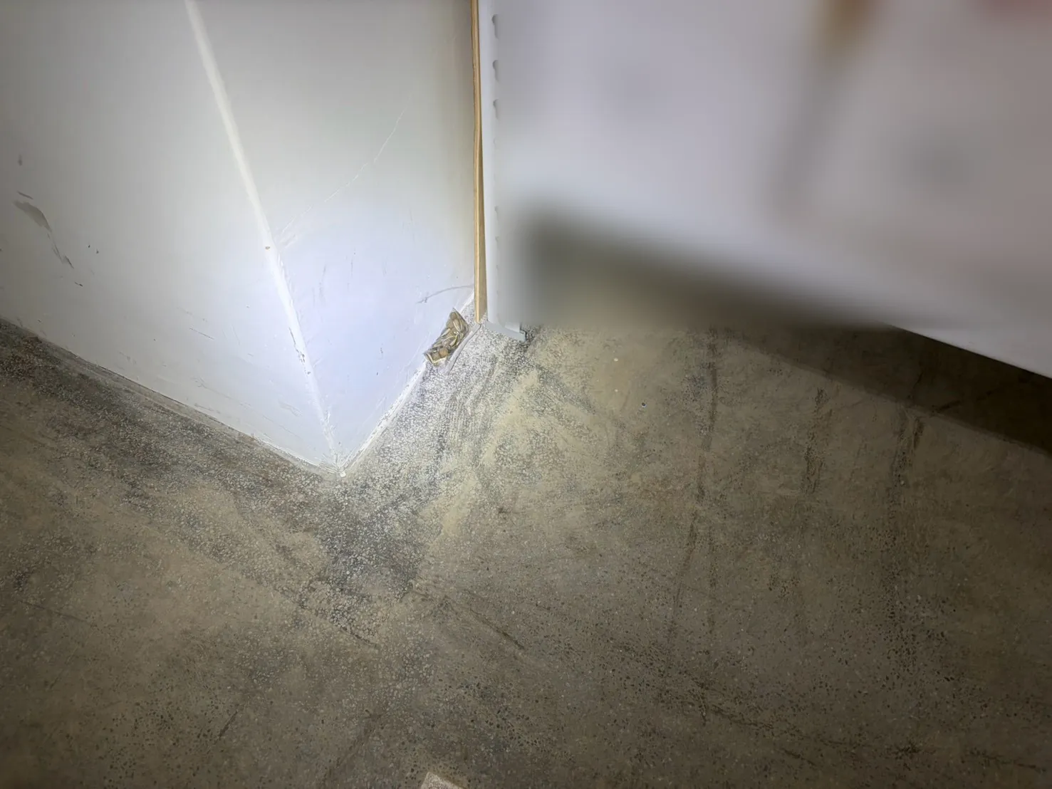 庫房牆角的小包鼠餌