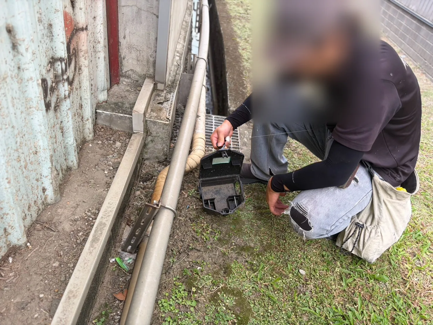 技師在排水溝與管線旁打開鼠餌盒