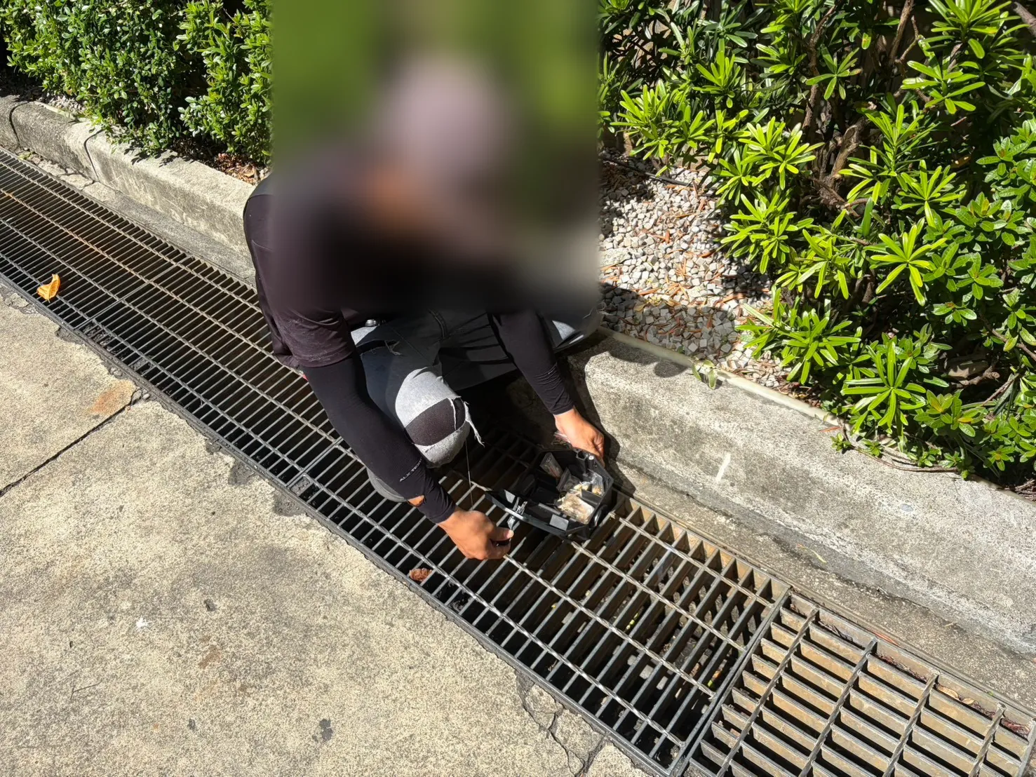 技師在排水溝格柵旁打開鼠餌盒
