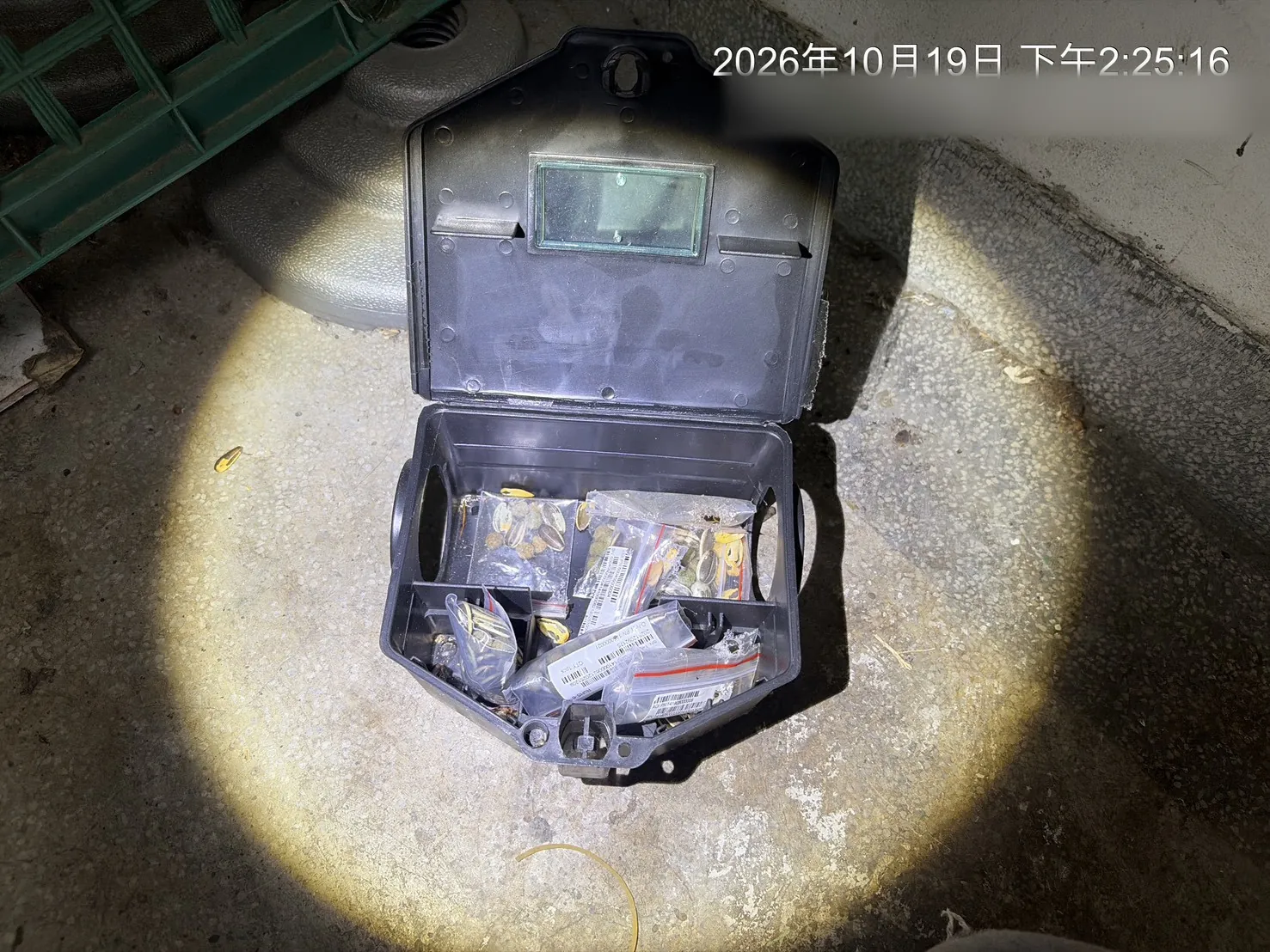 室內柱邊鼠餌盒打開檢查