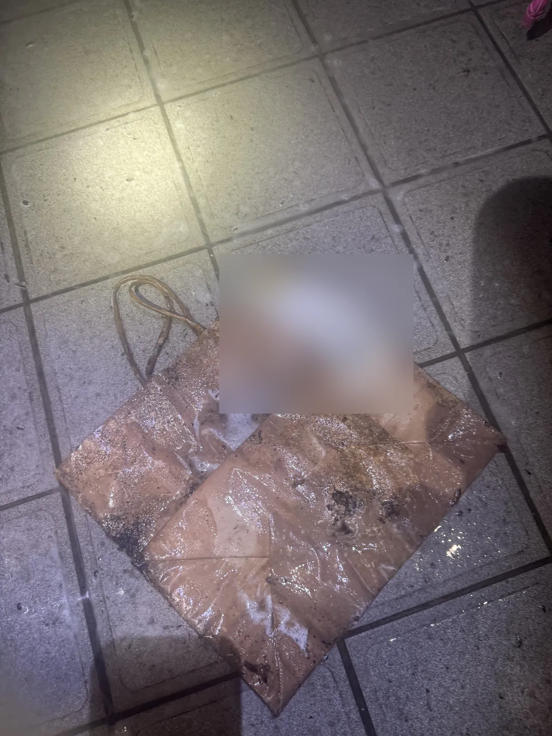 餐廳地上的紙袋沾滿污漬與蟑螂排遺