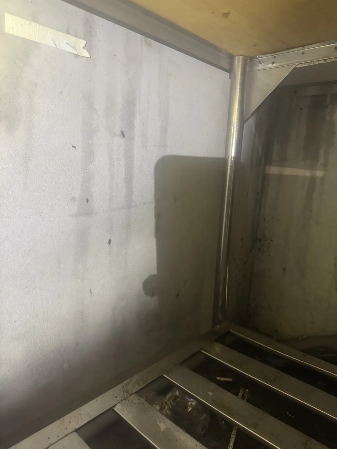 不鏽鋼櫃內角落的深色條狀排遺與油污痕跡