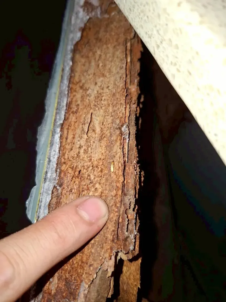 木作櫃板材邊緣的白蟻蛀蝕通道