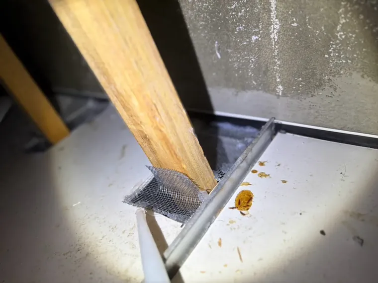 另一支木作角材穿孔四周以防鼠網封堵
