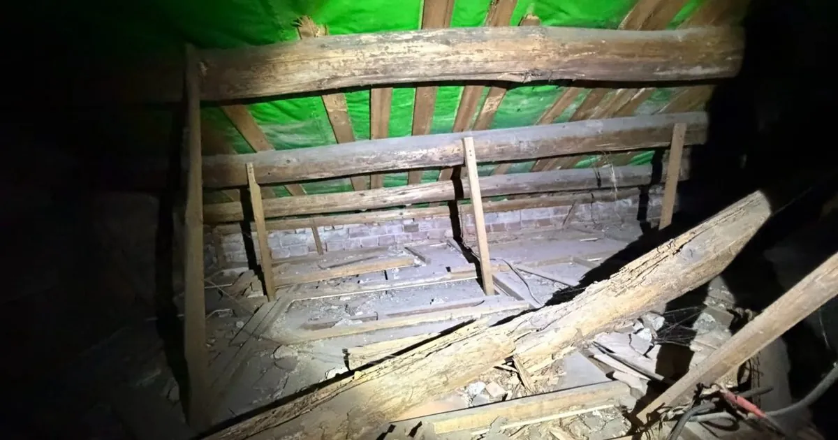 台北斜屋頂老屋白蟻，從天花板一路查到屋頂夾層