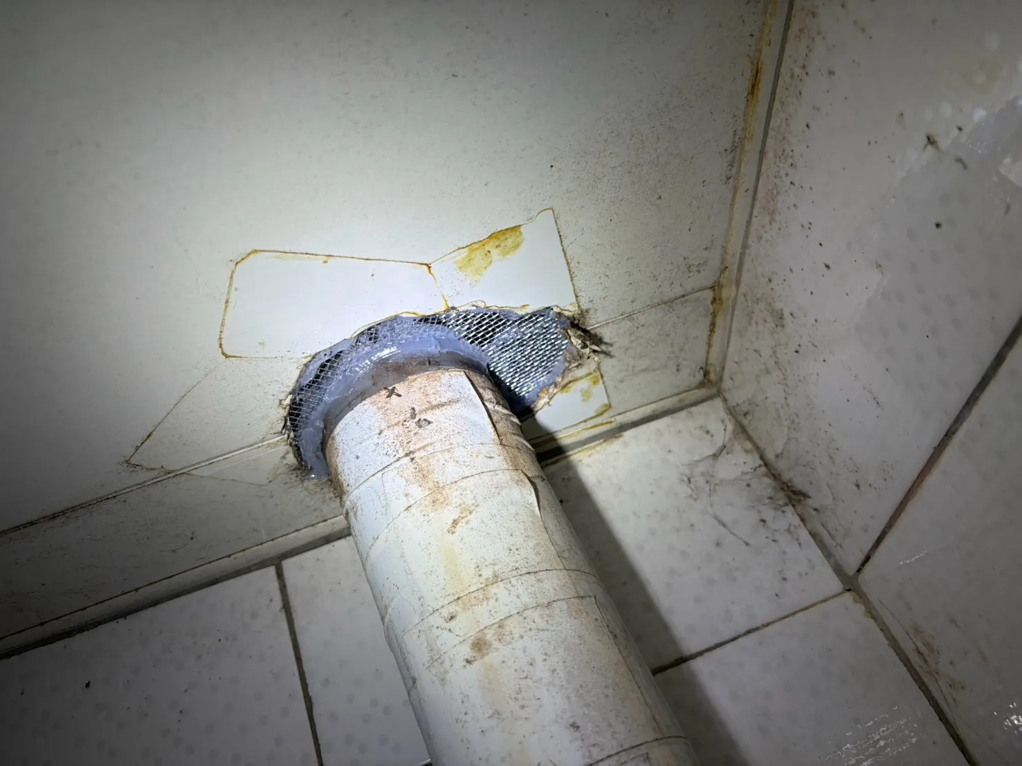 排水管穿過磁磚面周圍以不鏽鋼網加封口膠封堵