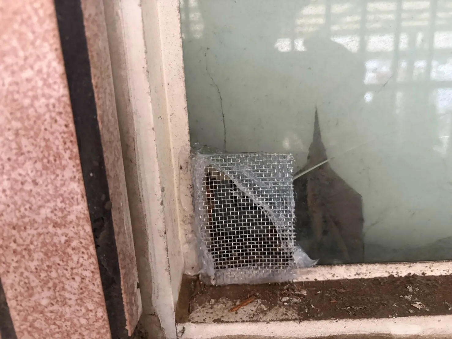 窗戶下緣角落缺口以不鏽鋼網封堵