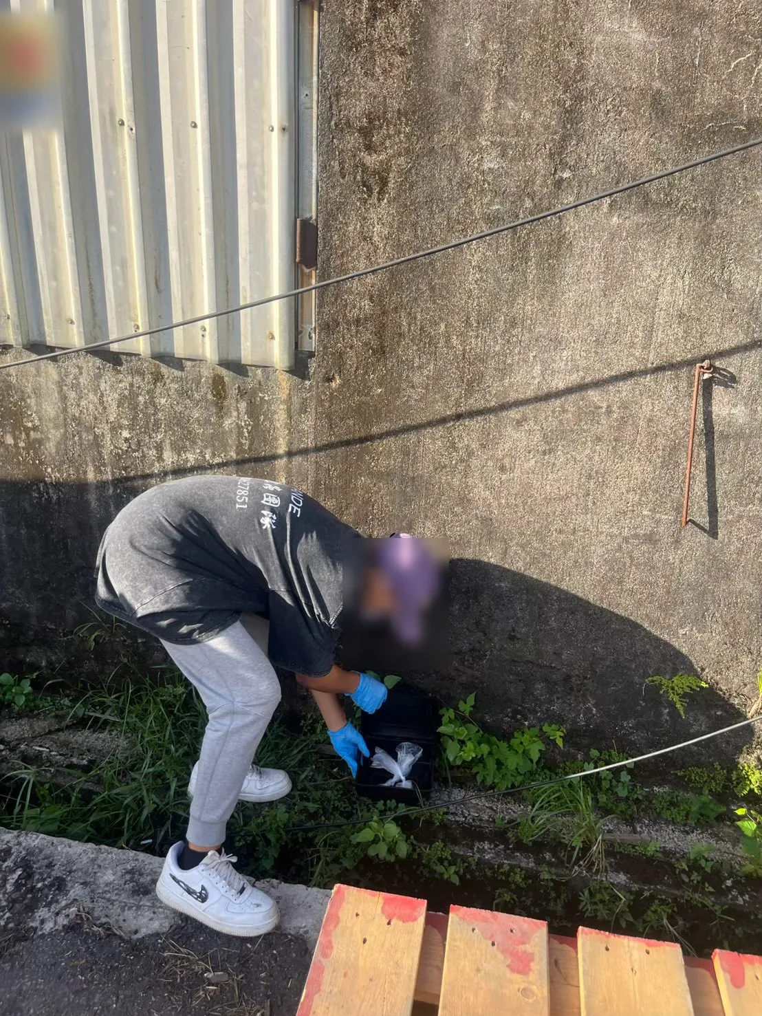 工廠牆腳雜草排水溝邊放置的鼠餌盒