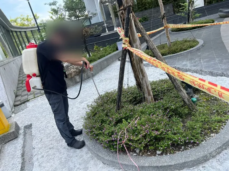 圍著警示帶的新植樹穴灌木根部噴灑