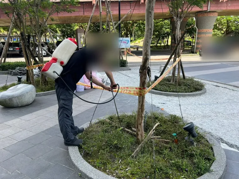 技師繞行樹穴對灌木根部與邊緣噴灑