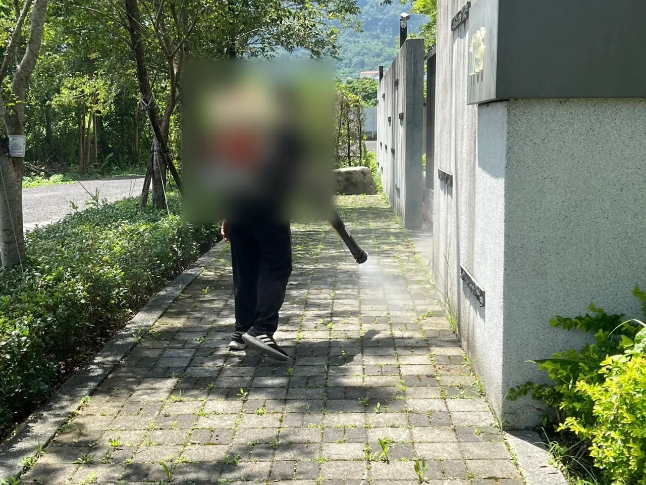 建物旁鋪石步道兩側灌木以動力噴霧機霧化