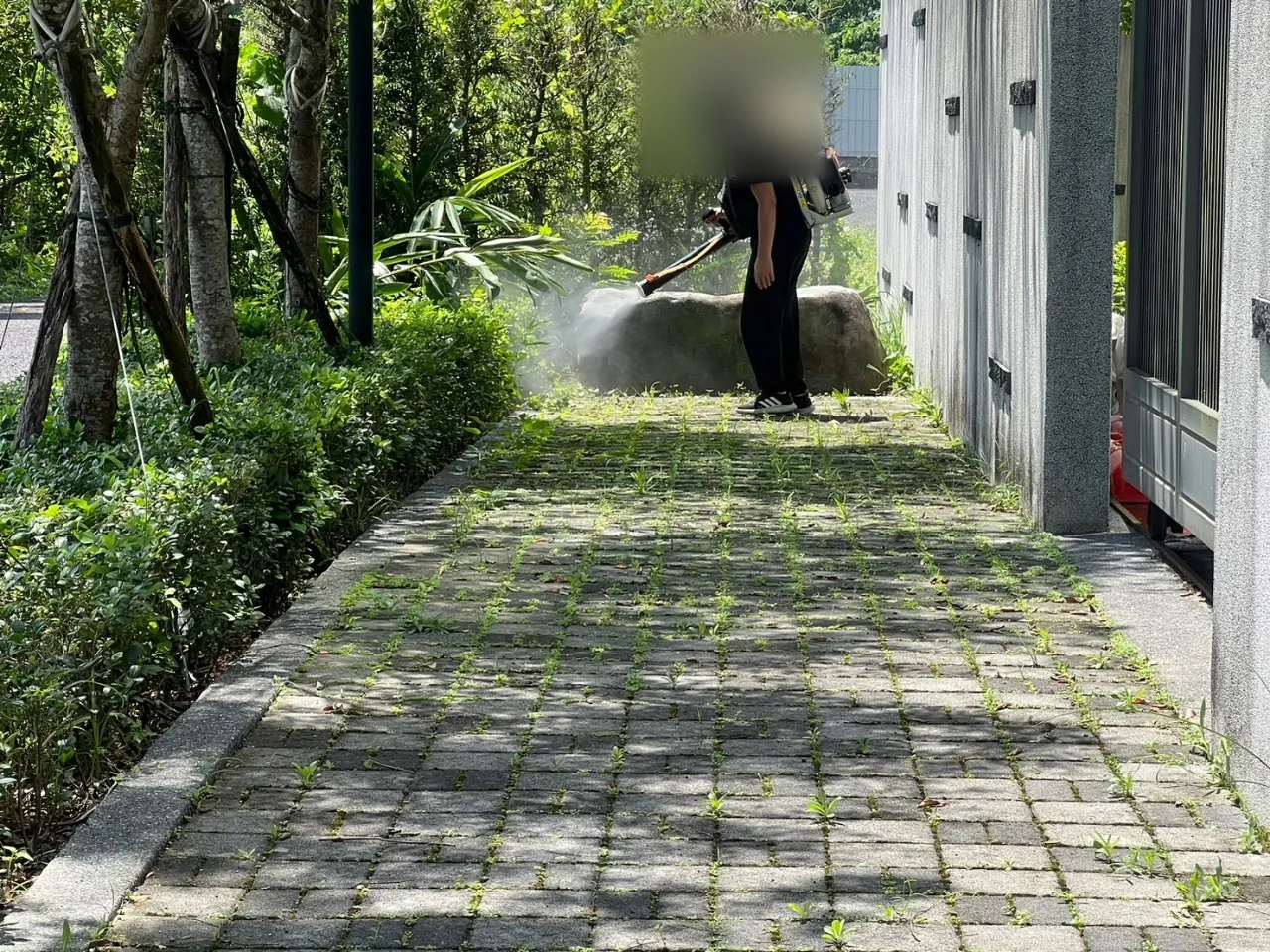 社區邊緣靠樹林步道以動力噴霧機整段霧化