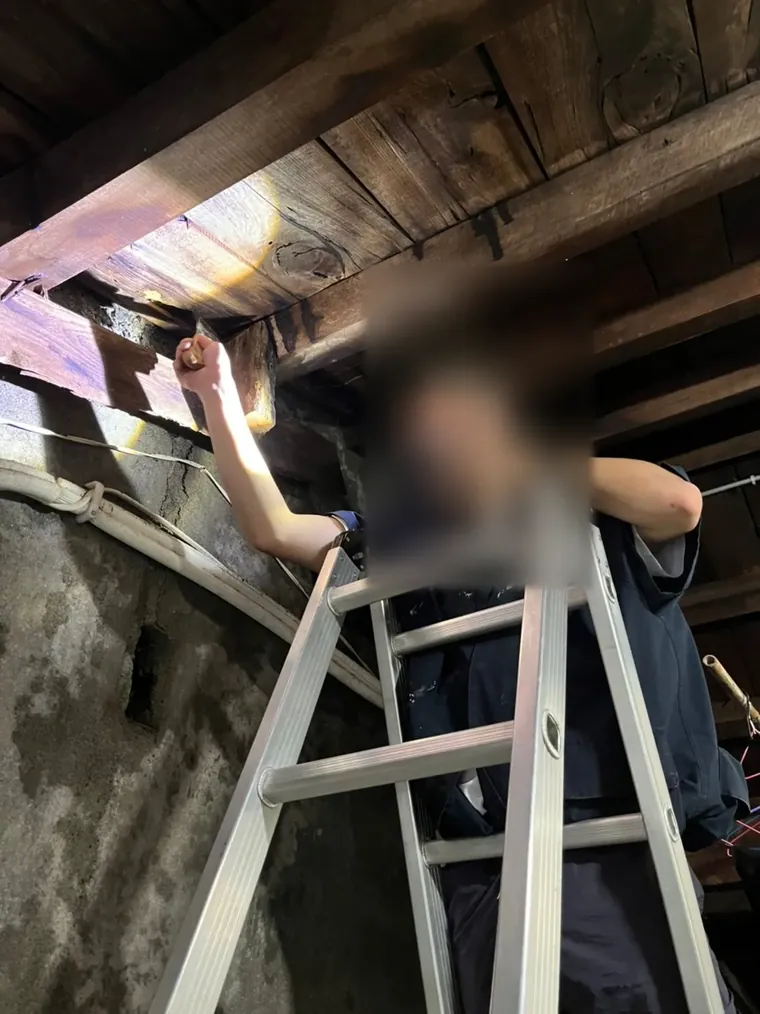技師站在梯子頂端處理老屋屋簷內側木構