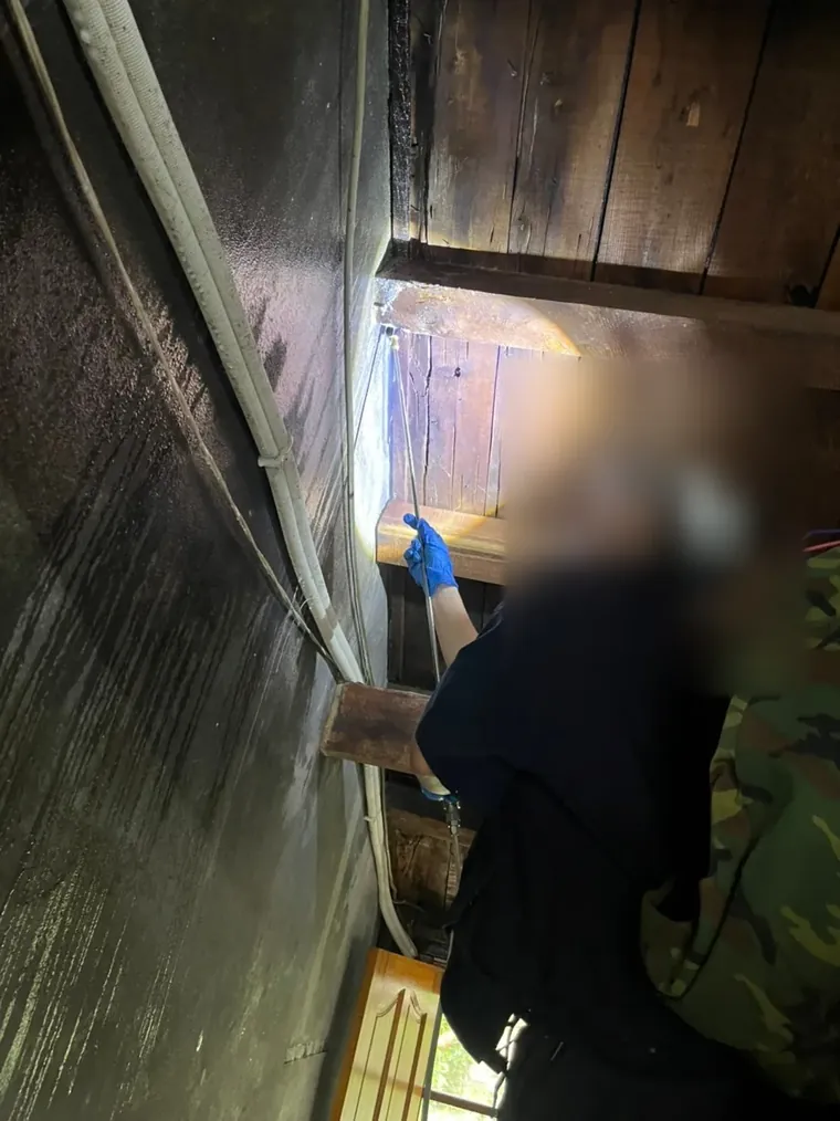 技師在老屋閣樓口檢查木樑