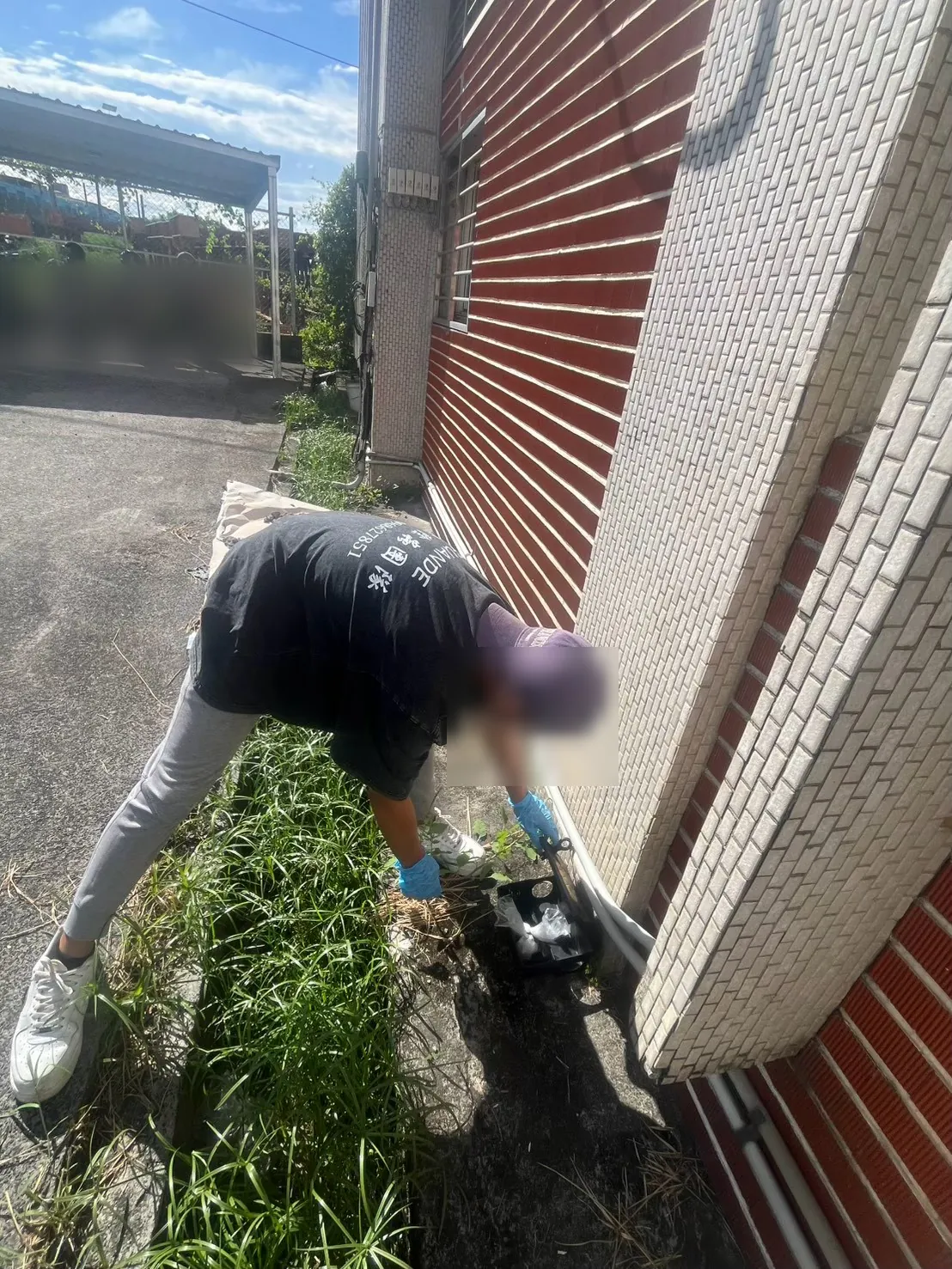 店面建物轉角草叢邊的鼠餌盒